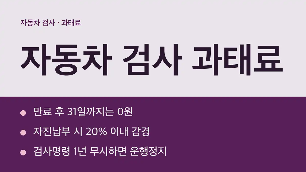 자동차 검사 과태료 기준표