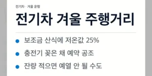 전기차 겨울 주행거리 확인은 저온 시험값부터