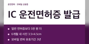 IC 운전면허증 발급 비용과 처리 기간