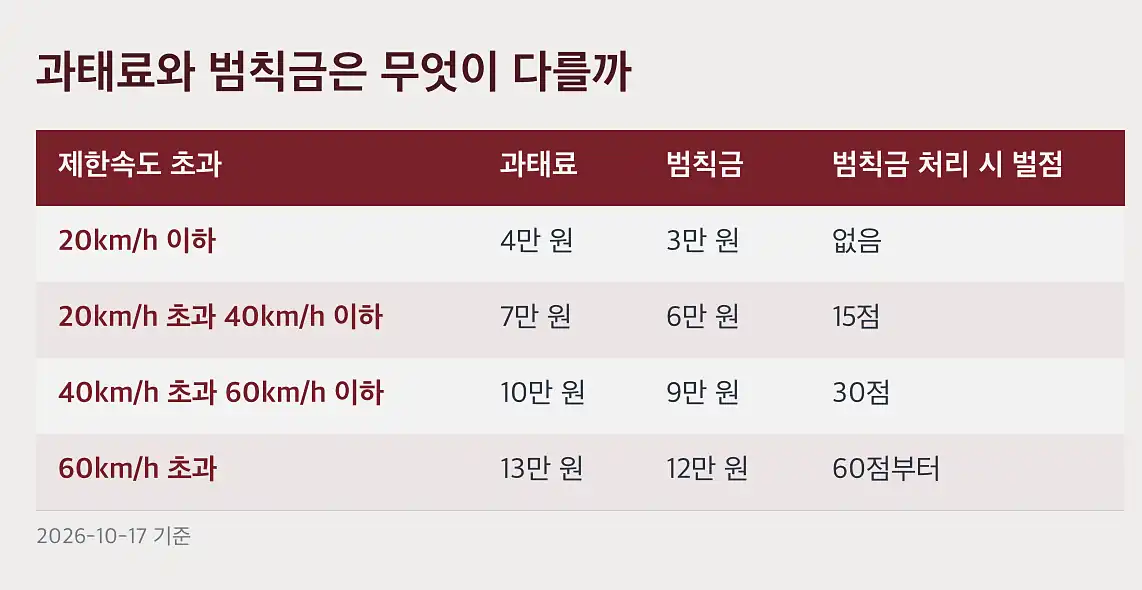 속도위반 과태료 20% 감경은 20km/h 이하만 받습니다