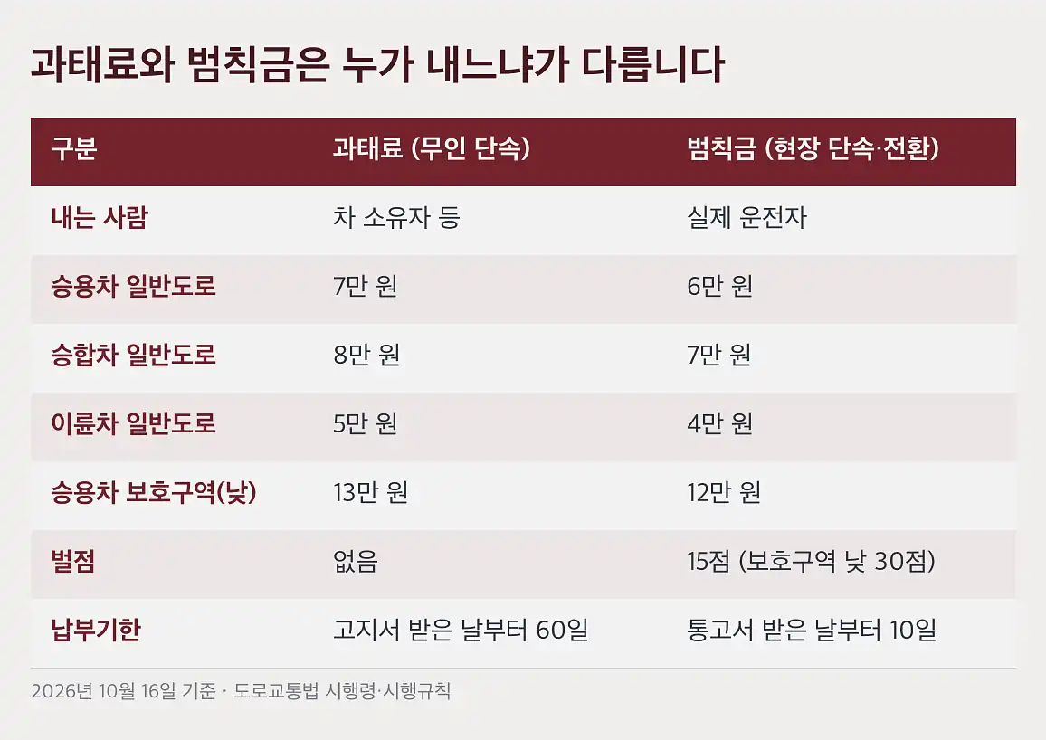 신호위반 과태료 사전납부 20% 감경이 신호위반에는 적용되지 않습니다